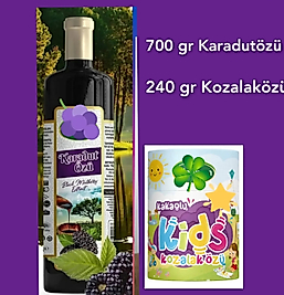 İKİLİ KARADUTÖZÜ KOZALAKÖZÜ KAMPANYASI