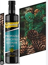 Propolisli zencefilli yetişkin kozalaközü